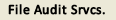 File Audit Services